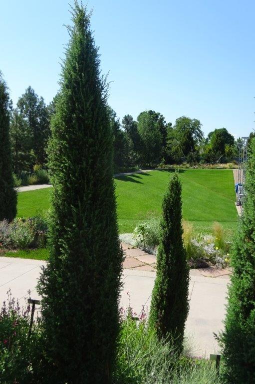 Climate Resilient Plants