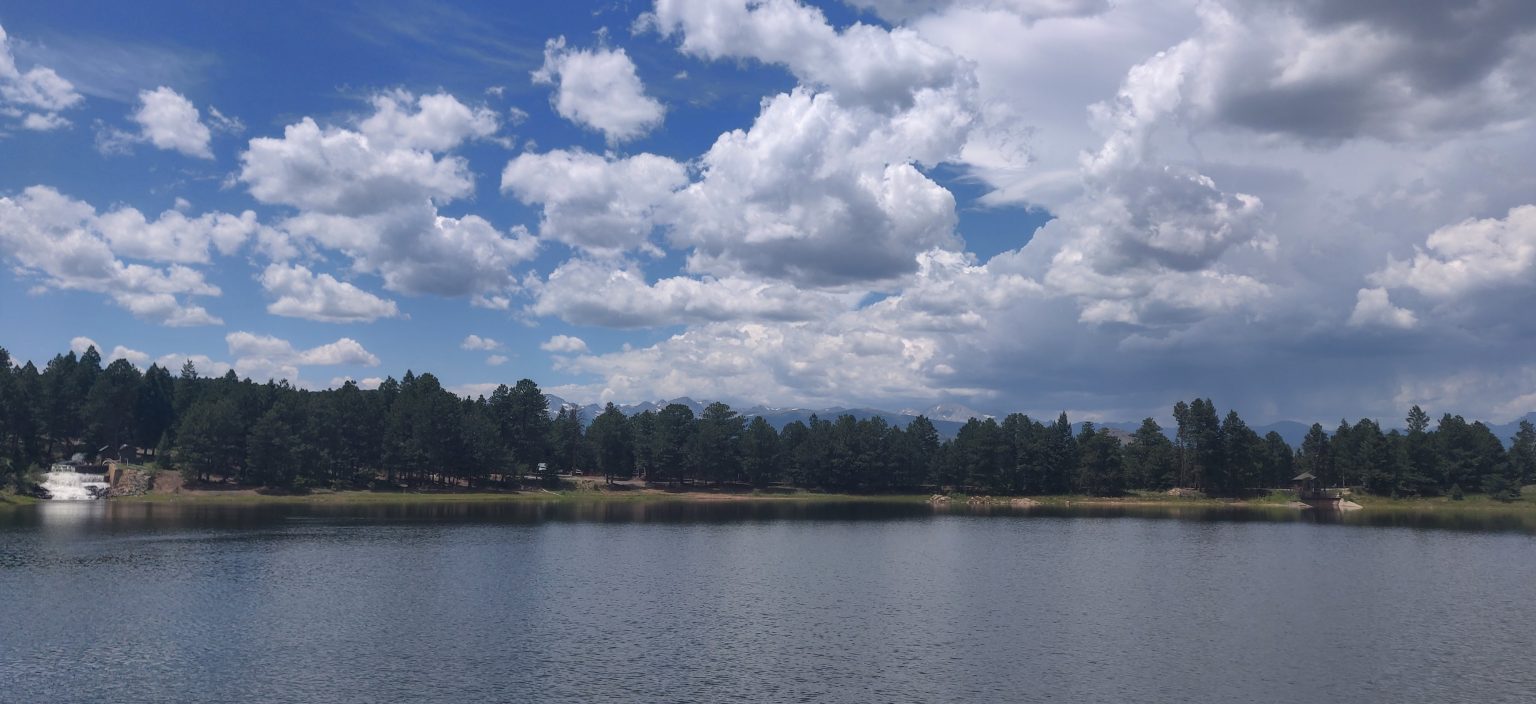 Harlequins Gardens Boulder’s specialist in welladapted plants