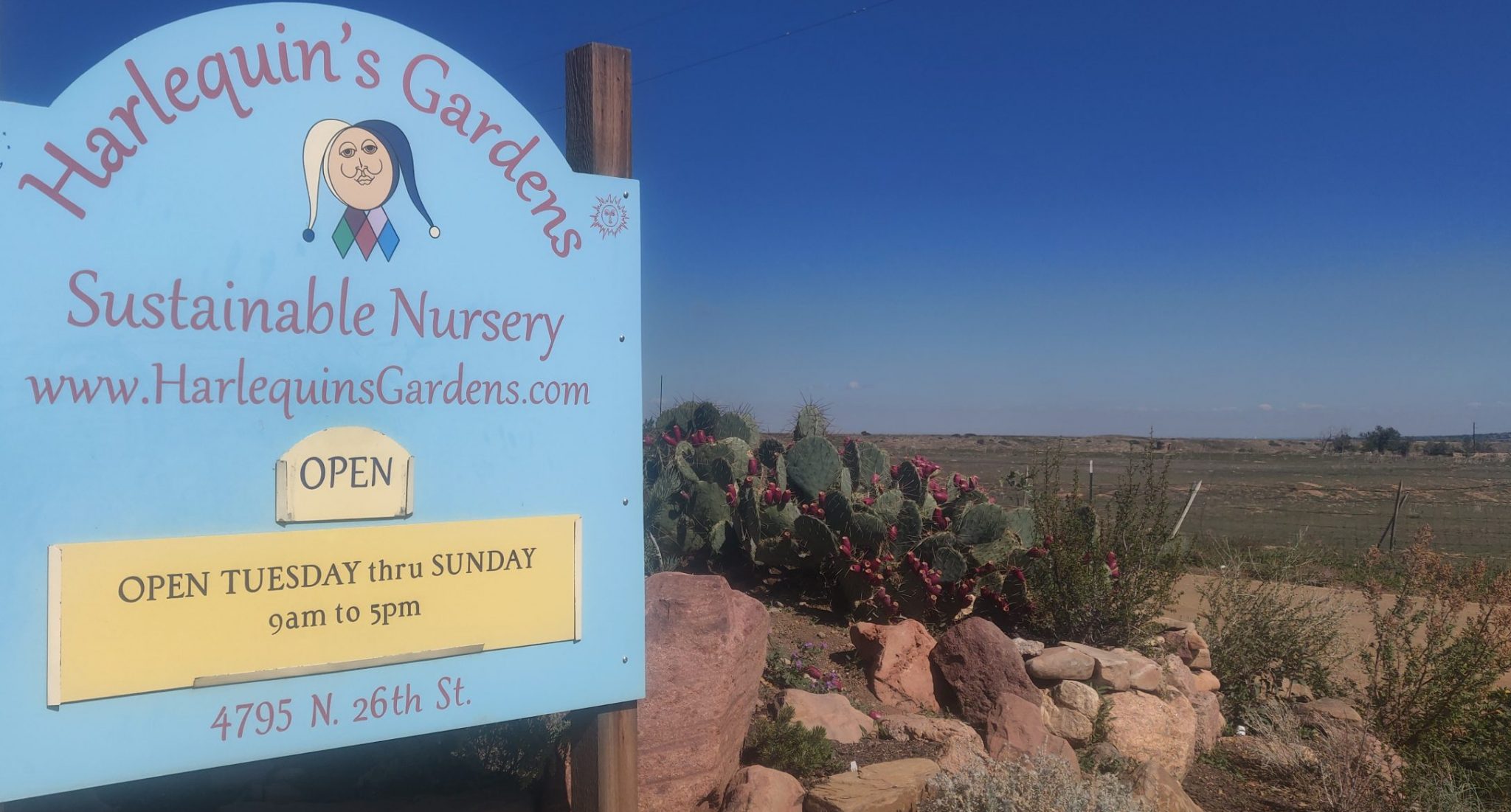 Final Week of our 30th Season! Harlequin’s Gardens Boulder CO Sustainable Plant Nursery