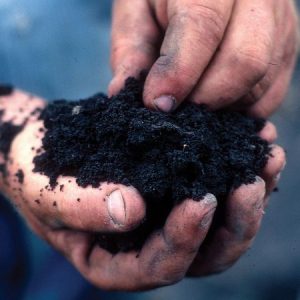Sun, Mar 15, 1PM-2:30 - Building Soil Fertility with Mikl Brawner